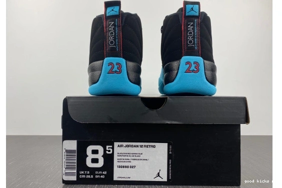 12 130690-027 130690-027 Blue Gamma Jordan Retro 0417